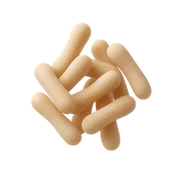 Lactobacillus