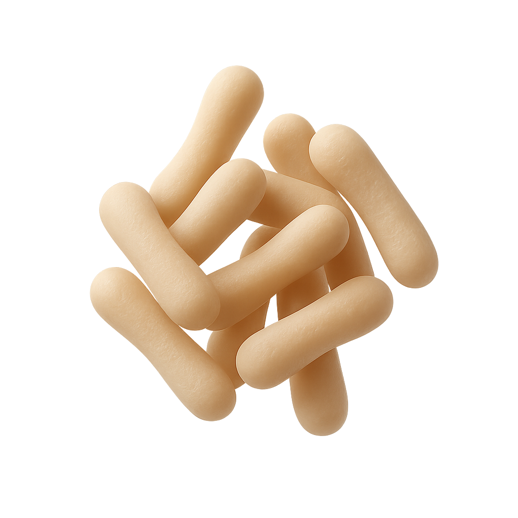 Lactobacillus acidophilus