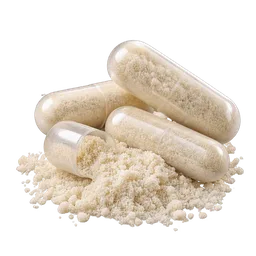 Lactobacillus fermentum
