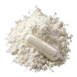 Lactobacillus paracasei