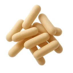Lactobacillus paracasei