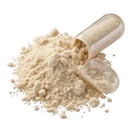 Lactobacillus plantarum