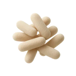 Lactobacillus reuteri