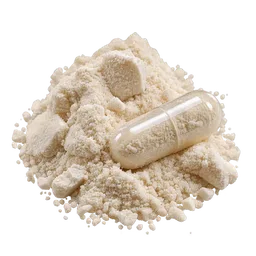 Lactobacillus rhamnosus