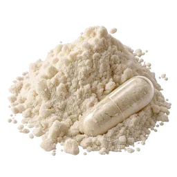 Lactococcus acidophilus
