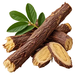 Licorice Root (Glycyrrhiza spp.)