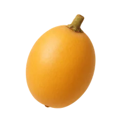 Loquat