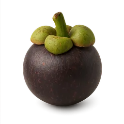 Mangosteen