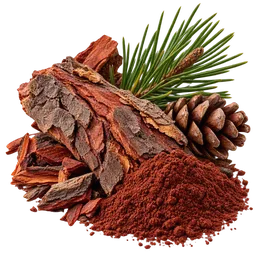 Maritime Pine / Pycnogenol