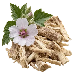 Marshmallow Root