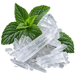 Menthol