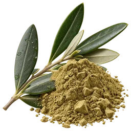 Oleuropein