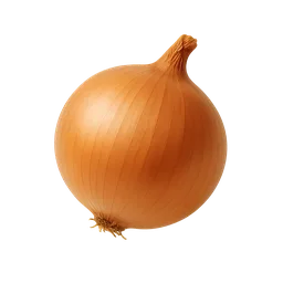 Onion