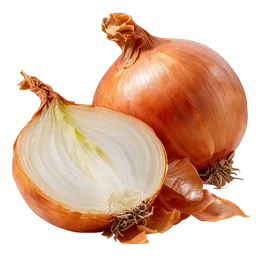 Onion
