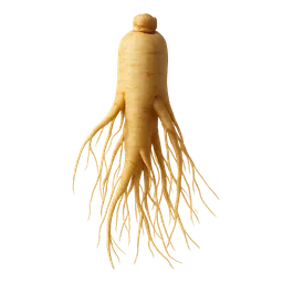 Oriental Ginseng (Panax ginseng)