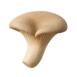 Oyster mushroom (generic Pleurotus)