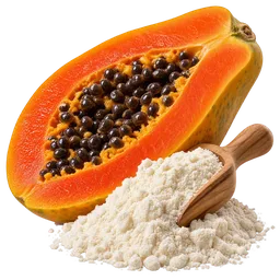 Papain