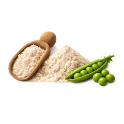 Pea protein