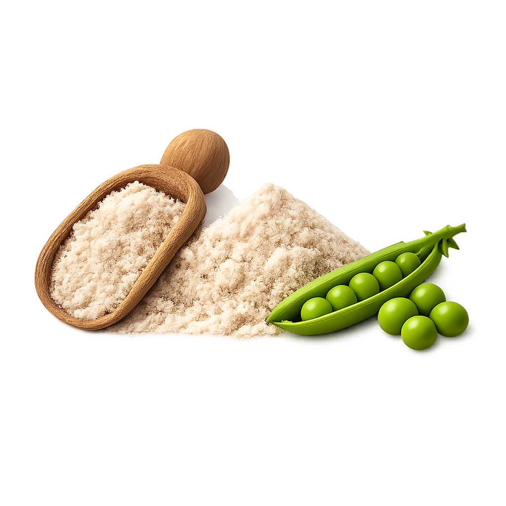 Pea protein