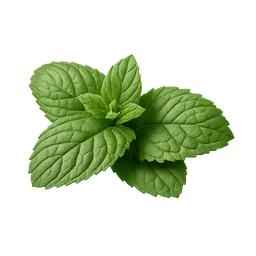 Peppermint