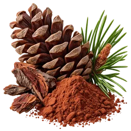 Pine (unspecified)