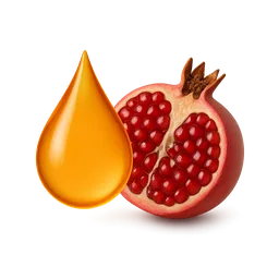 Pomegranate Oil