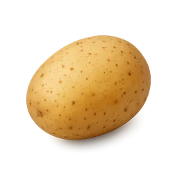 Potato