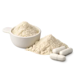 Protein