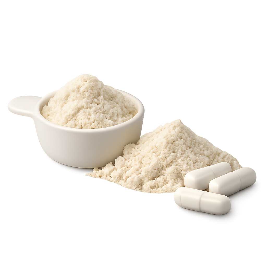 Whey Protein vs Plant Protein for Everyday Protein Powders