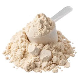 Whey Protein vs Plant Protein for Everyday Protein Powders