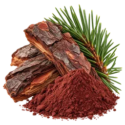 Pycnogenol