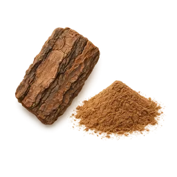 Pycnogenol