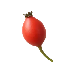 Rose Hip