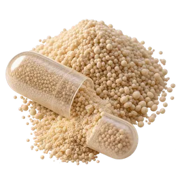 Saccharomyces boulardii