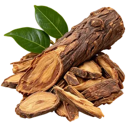 Salacia