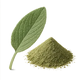 Best Supplements to Clear Old Clots More Efficiently (2026)