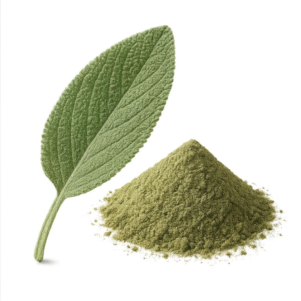 Best Supplements to Clear Old Clots More Efficiently (2026)