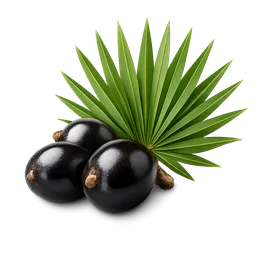 Best Supplements to Speed Up Hair Growth (2026)