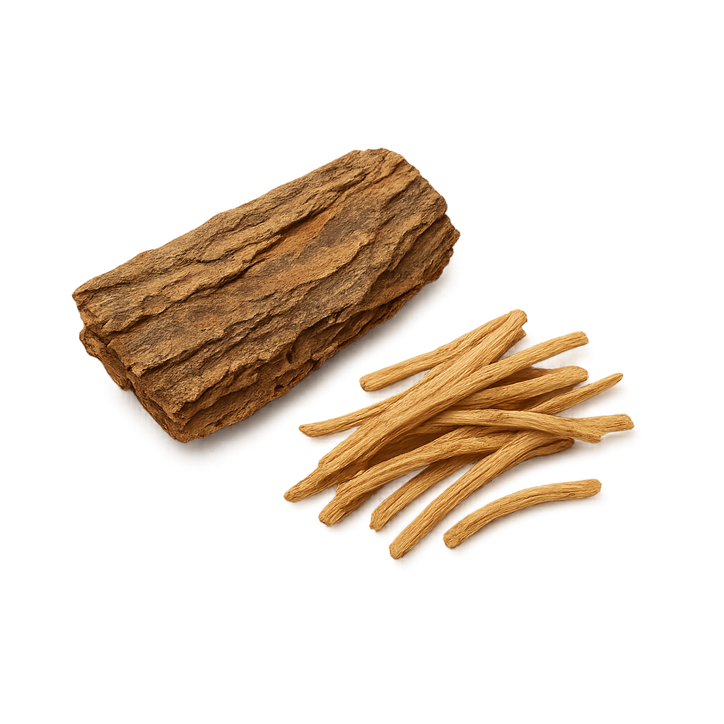 Slippery Elm