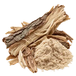 Slippery Elm