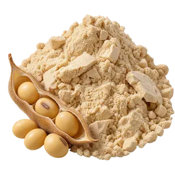 Soy Protein
