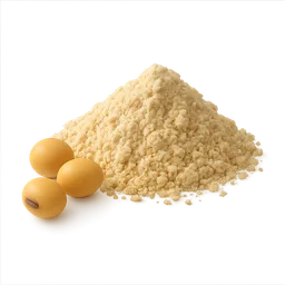 Soy Protein