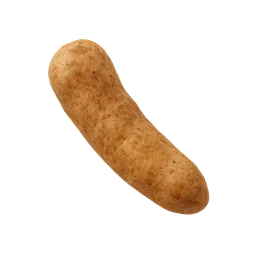 Streptococcus salivarius
