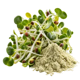 Sulforaphane