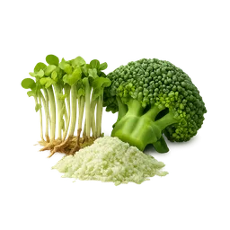 Sulforaphane