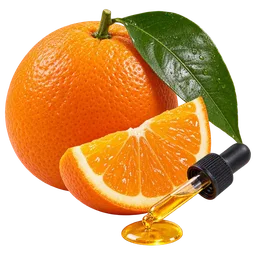 Sweet Orange (Citrus sinensis)
