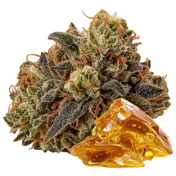 Tetrahydrocannabinol