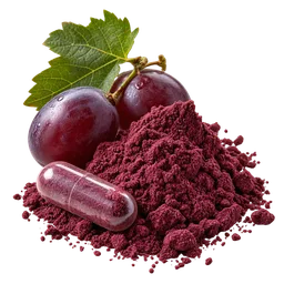 Trans-Resveratrol vs Pterostilbene for Longevity Buyers