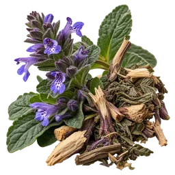 Turkesterone (phytoecdysteroid from Ajuga turkestanica)