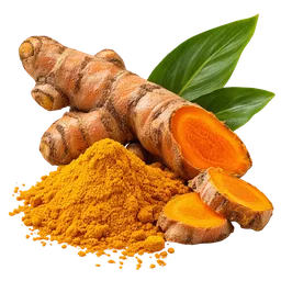 Turmeric Whole Root vs Standardized Curcumin for Everyday Wellness and Targeted Joint Support
